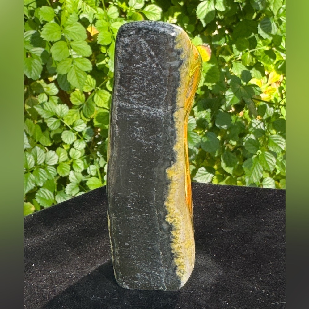 Bumblebee Jasper 7.4oz. (Indonesia) - Picture 4 of 4